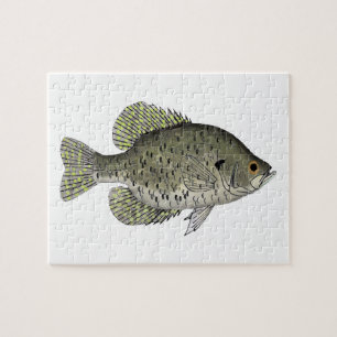Black Crappie Legpuzzel