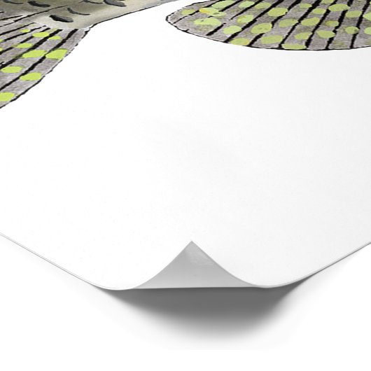 Black Crappie Poster (Hoek)