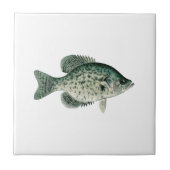 Black Crappie Tegeltje (Voorkant)
