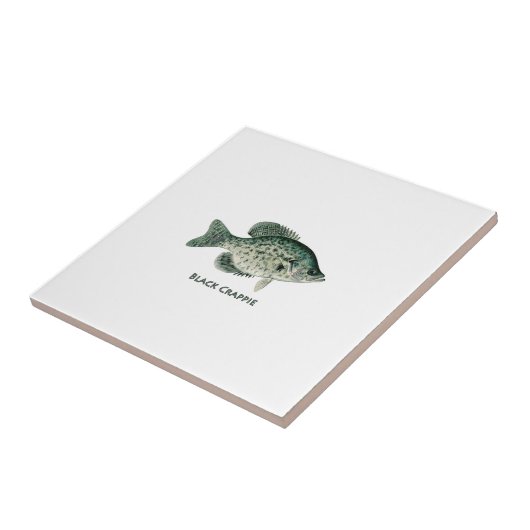 Black Crappie Tegeltje (Zijkant)
