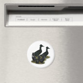 Black Crested Duck-reeks Magneet (Insitu (Vaatwasser))