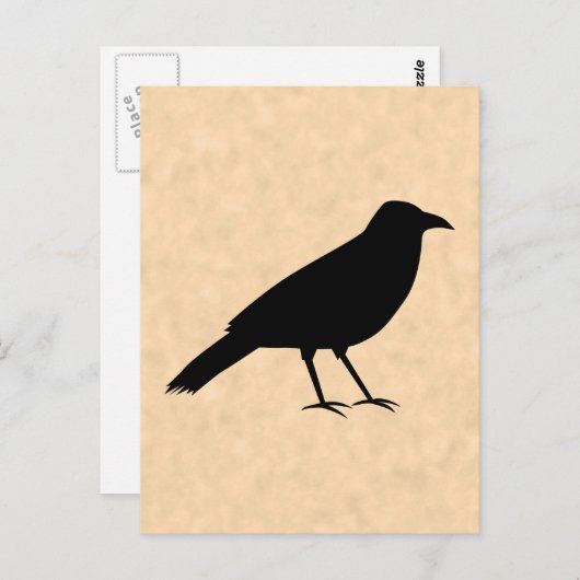 Black Crow Bird op een Parchment Pattern. Briefkaart (Voorkant / Achterkant)