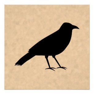 Black Crow Bird op een Parchment Pattern. Perfect Poster