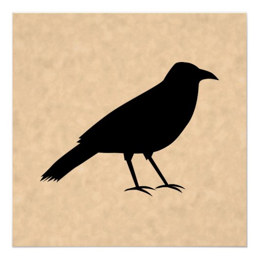 Black Crow Bird op een Parchment Pattern. Perfect Poster (Voorkant)