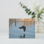 Black Crow Briefkaart (Staand voorkant)