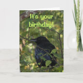Black Crow in Tree Photo Birthday Kaart (Voorkant)