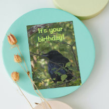 Black Crow in Tree Photo Birthday Kaart