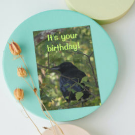 Black Crow in Tree Photo Birthday Kaart