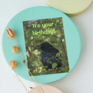 Black Crow in Tree Photo Birthday Kaart