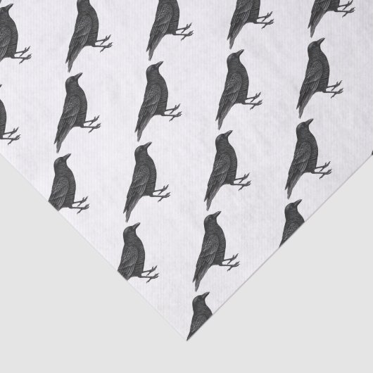 Black Crow Mascot Tissuepapier (Detail)