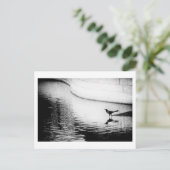 Black Crow met Reflection op Water - Foto Postca Briefkaart (Staand voorkant)