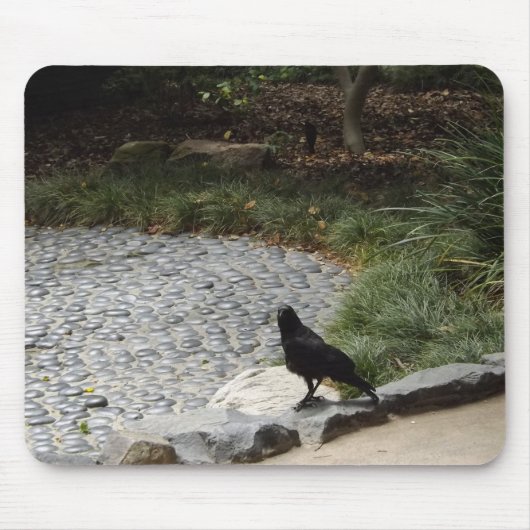 Black Crow Muismat (Voorkant)