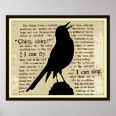 Black Crow~Sing Fly Chirp  Book Poster (Voorkant)
