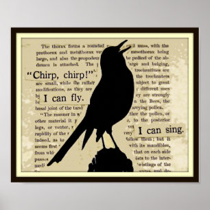 Black Crow~Sing Fly Chirp  Book Poster