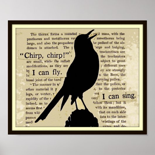 Black Crow~Sing Fly Chirp  Book Poster (Voorkant)