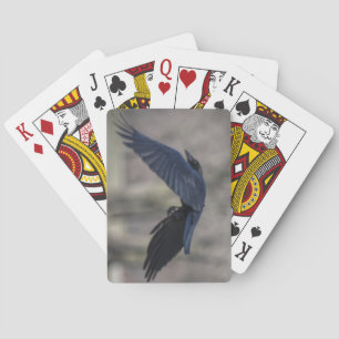 Black Crow-speelkaarten Pokerkaarten