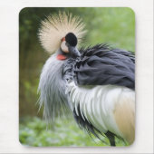 Black Crowned Crane Mousepad Muismat (Voorkant)
