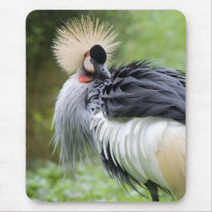 Black Crowned Crane Mousepad Muismat