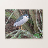 Black-Crowned Night Heron - Bird - Puzzle Legpuzzel (Horizontaal)