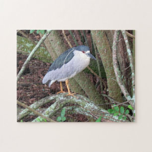 Black-Crowned Night Heron - Bird - Puzzle Legpuzzel