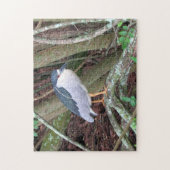 Black-Crowned Night Heron - Bird - Puzzle Legpuzzel (Verticaal)