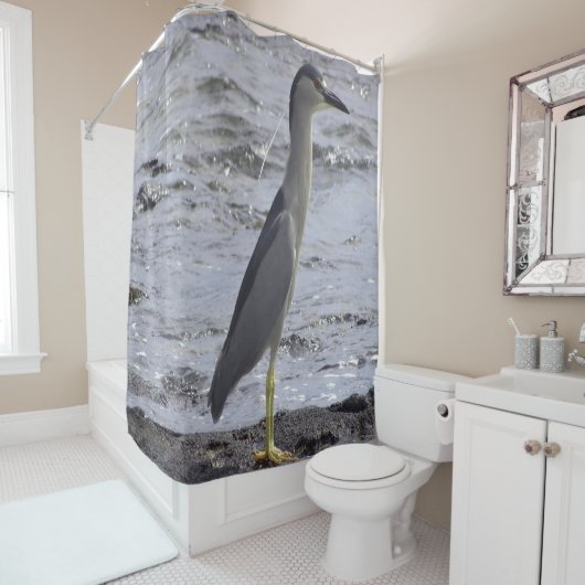 Black Crowned Night Heron Douchegordijn (In situ)