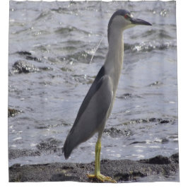 Black Crowned Night Heron Douchegordijn