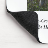 Black-Crowned Night Heron Muismat (Hoek)