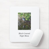 Black-Crowned Night Heron Muismat (Met muis)