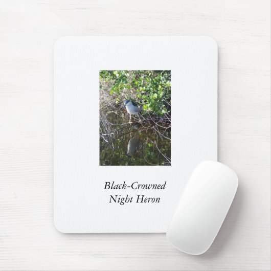 Black-Crowned Night Heron Muismat (Met muis)