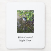 Black-Crowned Night Heron Muismat (Voorkant)