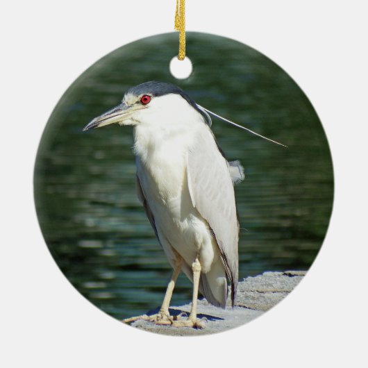 Black Crowned Night Heron op zoek naar een maaltij Keramisch Ornament (Achterkant)