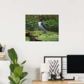 Black Crowned Night Heron Poster (Thuiskantoor)