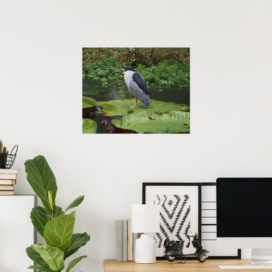 Black Crowned Night Heron Poster (Thuiskantoor)