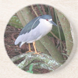 Black Crowned Night Heron Zandsteen Onderzetter