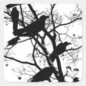 Black Crows Vierkante Sticker (Voorkant)