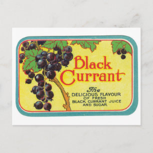 Black Currant Juice Dark Berries  Label Art Briefkaart