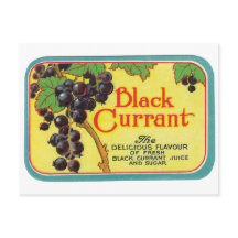 Black Currant Juice Dark Berries Label Art