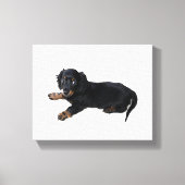 Black Dachshund Cocker Spaniel Puppy Foto Canvas Afdruk (Voorkant)