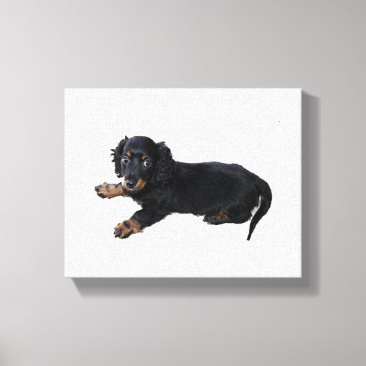 Black Dachshund Cocker Spaniel Puppy Foto Canvas Afdruk (Voorkant)