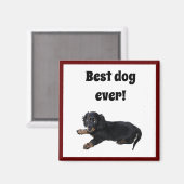 Black Dachshund Cocker Spaniel Puppy Foto Magneet (Voorkant / Achterkant)