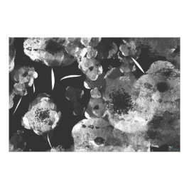 BLACK DAHLIAS FOTO AFDRUK