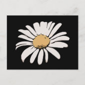 Black Daisy Floral Briefkaart (Voorkant)