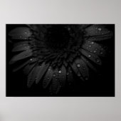 Black Daisy Poster (Voorkant)