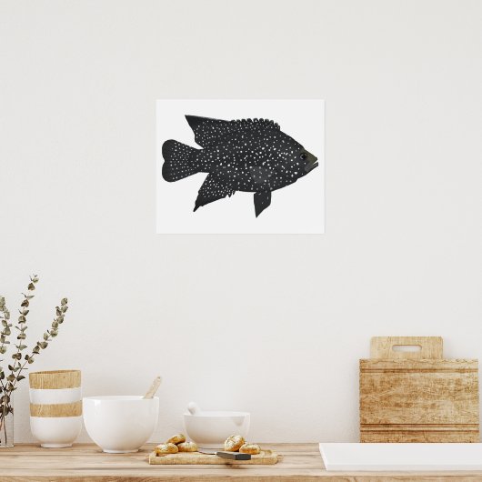 Black Diamond Cichlid Poster (Keuken)