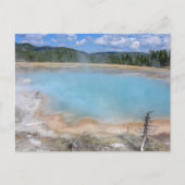 Black Diamond Pool, Yellowstone National Park Briefkaart (Voorkant)