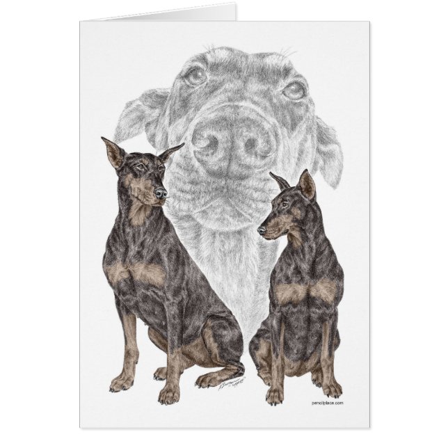 Black Doberman Dogs (Voorkant)