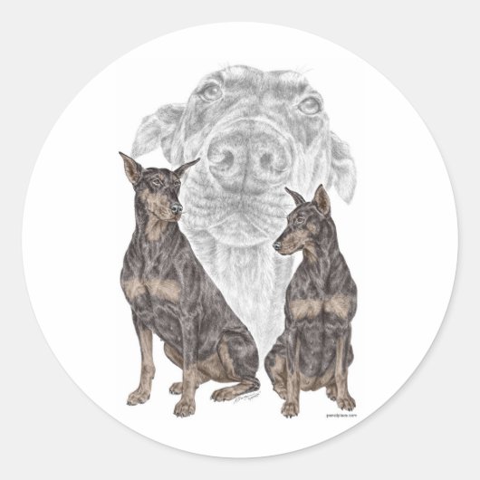 Black Doberman Dogs Ronde Sticker (Voorkant)