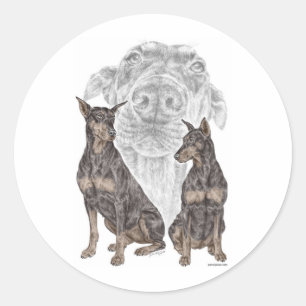 Black Doberman Dogs Ronde Sticker
