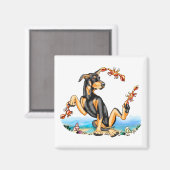 Black Doberman Pinscher Kinda Crabby Magnets Magneet (Voorkant / Achterkant)